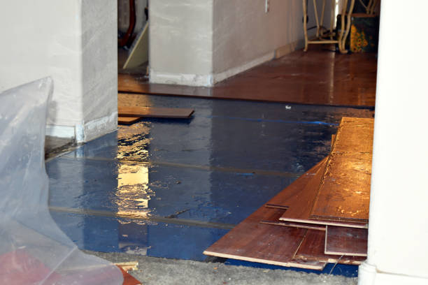 Professional Water Damage technician working in Howard, WI